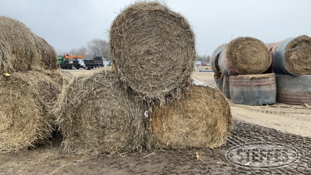 (5 Bales) 5x5 rounds